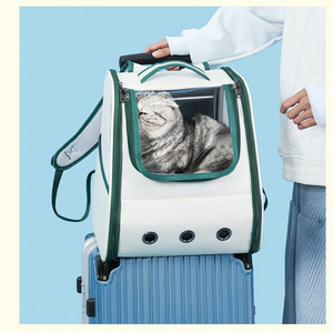 Zaino Trasportino Portatile per Gattini, Borsa da Viaggio Traspirante in Rete Oxford per Gatti Neonati, Visite al Veterinario, Ospedale, Iniezioni - Product Image 4