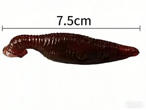 Jouet sensoriel anti-stress en TPE souple et collant pour enfants et adultes Jokez N Prankz Modèle 270A - Product Image 3