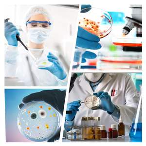 120mm <span class=keywords><strong>Petri</strong></span> trasparente in plastica PS con fondo rotondo per colture cellulari da laboratorio - Product Image 6