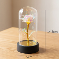 Rose éternelle sous cloche en verre, veilleuse, emballage de haute qualité en boîte colorée, cadeaux transfrontaliers pour mariages et anniversaires