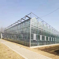 Serre agricole/commerciale de bonne qualité et facile à installer