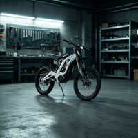 Moto tout-terrain électrique Light Bee X 2026 Surron Light Bee X 2026 Prête à être expédiée