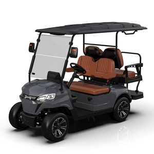 개인화 된 페인트 구성표 가죽 시트 오디오 맞춤형 골프 카트 - Product Image 5