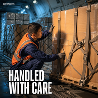 ZS LOGISTICS Transitaire, Expédition Aérienne Internationale Express FBA DDP DDU, DHL UPS FedEx TNT Transit Rapide & Suivi Complet