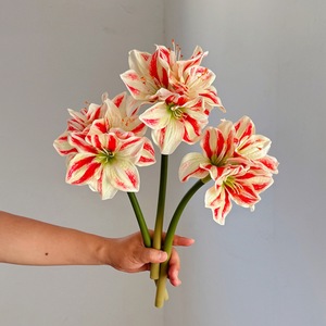 <span class=keywords><strong>Fleur</strong></span> artificielle d'amarille à toucher réel, tige rouge et <span class=keywords><strong>blanche</strong></span> rayée, fausse <span class=keywords><strong>fleur</strong></span> pour la décoration de la maison, des tables de mariage, des vases et comme accessoire de photographie - Product Image 1