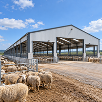 Abri préfabriqué en acier pour moutons, abri pour bétail, logement pour animaux, bâtiment agricole, hangar pour moutons, structure agricole