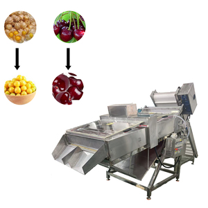 Máquina Desestamadora de Cerezas Comercial Más Vendida, Máquina para Eliminar Tallos de Cerezas de Alta Calidad - Product Image 4