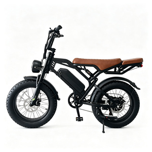 Electric Bicycle <b>Kit</b> E Electric Bike City 20 Inch Fat <b>Tire</b> Cargo Electric Dirt Bike Bicicleta Eléctrica Elektrische Fiets - Product Image 1