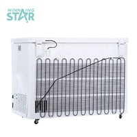 Winner STAR – réfrigérateur ménager à Compression profonde BG-450 176L AC