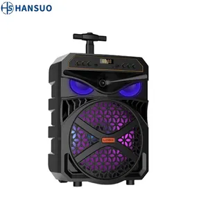HANSUO 12-дюймовый наружный портативный динамик DJ Party караоке перезаряжаемые колонки с микрофоном HS-TS12S8