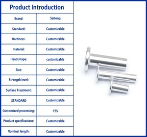 Nhà Máy Bán buôn Chất lượng cao nhôm phẳng Pan đầu rắn bán hình ống đinh tán ISO tiêu chuẩn tùy chỉnh kích thước cho chung - Product Image 2