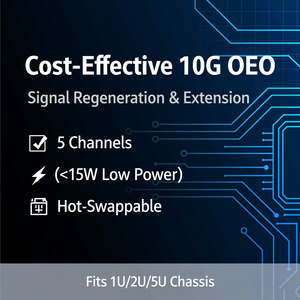 การ์ดแปลง oeo 10g ราคาคุ้มค่าการแปลงความยาวคลื่น5แชนเนลสำหรับเครือข่าย CWDM/DWDM ที่เป็นมิตรกับงบประมาณ OTU10อีก10g oeo Conve - Product Image 1