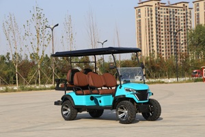 Sharefer - Carrito de Golf Todoterreno de 48 V y 72 V con Batería de Litio, Buggy de 6 Plazas - Product Image 2