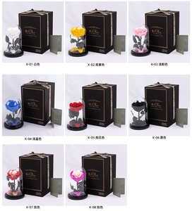 Petit Prince Préservé <span class=keywords><strong>Rose</strong></span> dans un Dôme en Verre Fleur Éternelle Coffret Cadeau pour la Saint-Valentin Fête des Mères Romantique Anniversaire Déco - Product Image 3