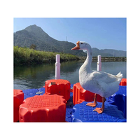 Maison flottante modulaire HDPE Pont ponton en plastique quai de bateau
