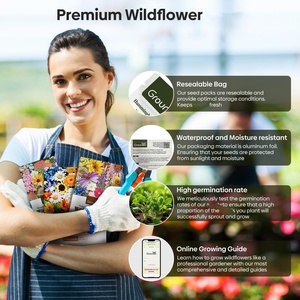 Kit de 24 variétés annuelles <span class=keywords><strong>vivaces</strong></span> fleurs jardin paquet sac <span class=keywords><strong>plante</strong></span> en colibri papillon mélange pour plancher <span class=keywords><strong>plante</strong></span> à utiliser pour les amoureux - Product Image 4