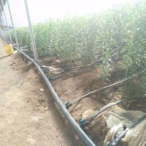 农业滴灌系统用16毫米滴灌胶带连接器滴灌微型阀门 - Product Image 6