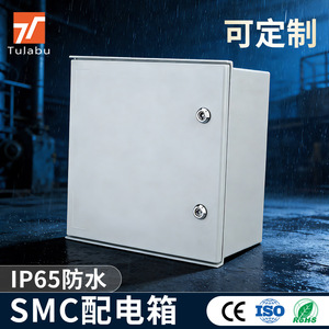 Tube SMC Fiberglass Distribution <b>Box</b> IP66 Waterproof Outdoor Lockable Power Control <b>Box</b> - Product Image 4