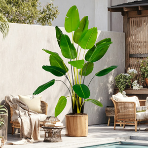 Venta <span class=keywords><strong>al</strong></span> por Mayor de Planta Artificial de Ave del Paraíso de 8 pies con 13 Troncos, Strelitzia Nicolai Realista para Proyectos Comerciales - Product Image 5