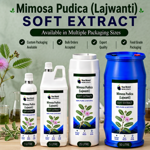 Extrait botanique de Mimosa Pudica Lajwanti, ingrédient végétal pour la fabrication de matières premières cosmétiques et préparations de soins de la peau - Product Image 4