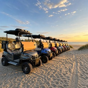 Carrito <span class=keywords><strong>de</strong></span> Golf Eléctrico Skywork Classic Amarillo para Uso Familiar en <span class=keywords><strong>la</strong></span> Playa, 4 Plazas, con Motor <span class=keywords><strong>de</strong></span> CA <span class=keywords><strong>de</strong></span> 48V - Product Image 5