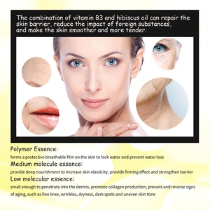 Nhà máy tốt nhất tùy chỉnh Hữu <span class=keywords><strong>C</strong></span>ơ Witch Hazel Niacinamide <span class=keywords><strong>vitamin</strong></span> <span class=keywords><strong>C</strong></span> chống lão hóa da làm săn chắ<span class=keywords><strong>c</strong></span> giữ ẩm huyết thanh trên khuôn mặt - Product Image 3