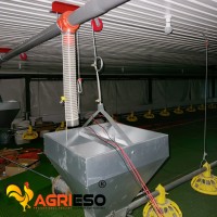 Système automatique d'alimentation et d'abreuvement pour volailles avec moteur italien Transtecno pour élevages de poulets de chair, pondeuses et reproducteurs