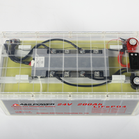 Système solaire 24V 100Ah 200Ah 300Ah Lifepo4 25.6V, batterie lithium-ion Lifepo4 12V avec BMS intelligent