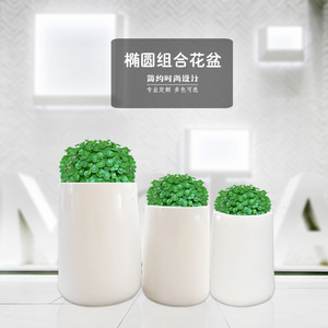 Ensemble de pots à fleurs en résine elliptiques, design minimaliste léger pour plantes d'intérieur - Product Image 1
