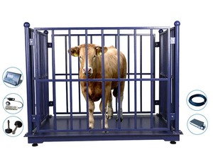 1500 kg Livestock Sheep Weighing Scale Digital Livestock Scale with Two <strong>Doors</strong> - Product Image 6