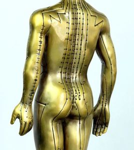 चिकित्सा विज्ञान शिक्षण डीलक्स कॉपर मानव एक्यूपंक्चर मॉडल स्कूल के लिए 50 सेमी - Product Image 5