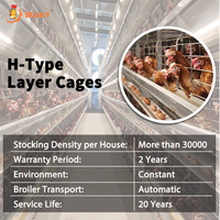 Équipement d'élevage avicole entièrement automatique de type H, état neuf, cages à batterie de qualité A pour poules pondeuses