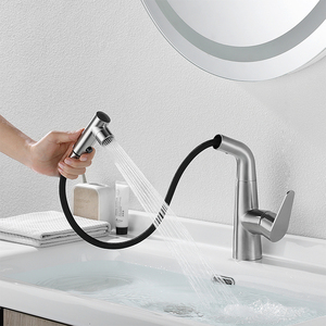 SANIPRO SS spazzolato piano piano piano piano lavabo rubinetti miscelatore <span class=keywords><strong>rubinetto</strong></span> <span class=keywords><strong>bagno</strong></span> <span class=keywords><strong>rubinetto</strong></span> estraibile <span class=keywords><strong>lavandino</strong></span> <span class=keywords><strong>con</strong></span> Pull Down spruzzatore - Product Image 5