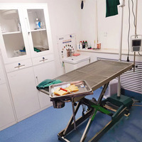 Table chirurgicale vétérinaire électrique professionnelle en acier inoxydable 304 certifiée CE ISO par Jining Herta, certifiée ISO13485 Classe II pour