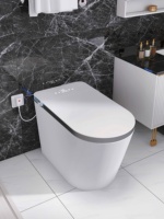 Chauffage de siège de toilette intelligent AI Design moderne Grande céramique montée au sol Télécommande de toilette domestique Piège S sans pression d'eau
