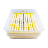 Incubateur solaire automatique pour œufs, incubateur à œufs de poulet, couveuse à œufs de poulet, alimentation double 220V/110V/12V, Chine