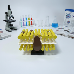 Modelo de Estructura de Membrana Celular - Kit de Modelo de Mosaico Fluido para Educación en Biología y Demostración Científica - Product Image 4