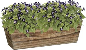 Jardinière classique <span class=keywords><strong>en</strong></span> <span class=keywords><strong>bois</strong></span> avec poignée, couleur marron buffle, <span class=keywords><strong>pour</strong></span> patio, jardin, véranda, décoration intérieure - Product Image 3