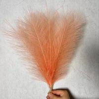 Boho Large Plume Fleurs séchées naturelles Herbe de pampa pour mariage et décoration intérieure pour Noël Saint Valentin Pâques