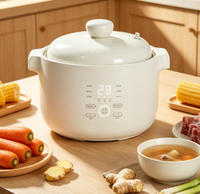 Panci Masak Lambat Mini Portabel Elektrik Pintar dengan Wadah Keramik dan Kontrol Timer Digital untuk Penggunaan Rumah Tangga