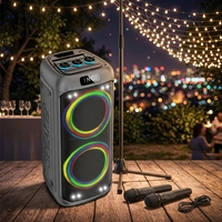 Factory-Optimized ABS-8213 Dual Mic Portable Wireless Karaoke Speaker with Custom Logo and BT Name