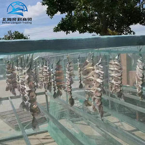 Prix de gros – <span class=keywords><strong>Poisson</strong></span> Pomfret Doré Séché Fait Main, Certifié HACCP, Traité par Congélation Lyophilisée, Provenant du Guangxi, Chine - Product Image 1