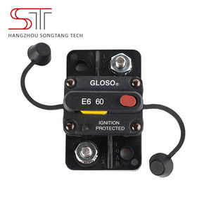 Disyuntor de reinicio manual térmico para coche, disyuntor E69 60A 32Vdc - Product Image 2