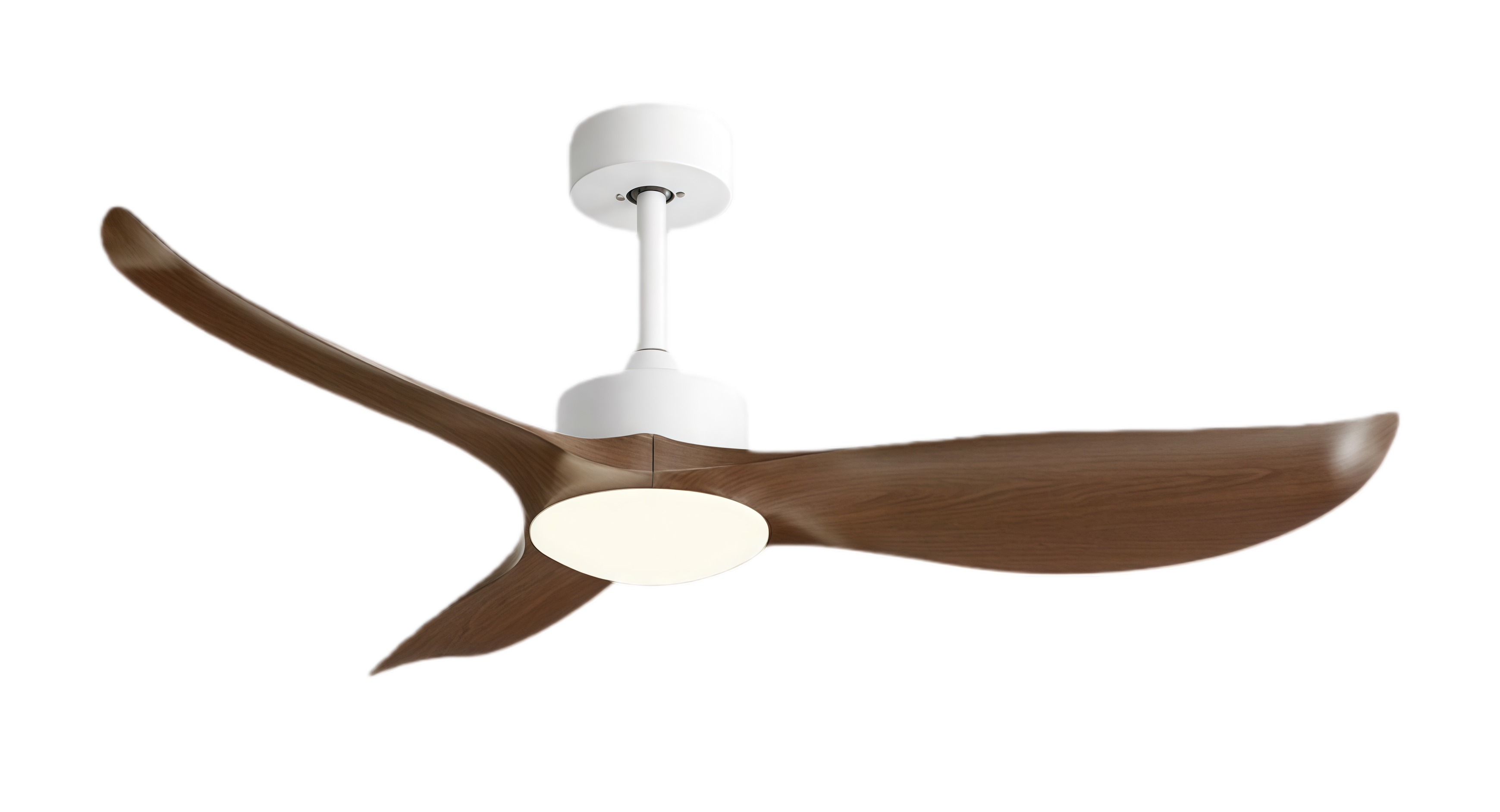 วอลนัทขาว