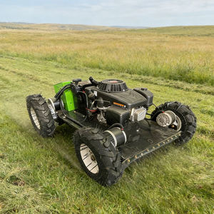 <span class=keywords><strong>เครื่อง</strong></span><span class=keywords><strong>ตัด</strong></span><span class=keywords><strong>หญ้า</strong></span>ขนาดเล็กแบบ RC 4WD สำหรับสนาม<span class=keywords><strong>หญ้า</strong></span>ในบ้าน อุปกรณ์กำจัดวัชพืชสำหรับสวนในครัวเรือน - Product Image 4