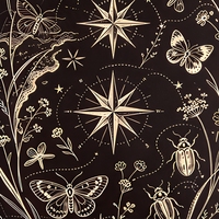 Carnet à couverture rigide en PU personnalisé, motif étoile et fleurs sauvages, avec élastique, journal à points