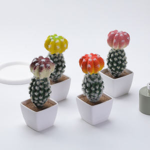 Plante verte petit Pot Cactus en pot intérieur figue de barbarie succulente fleur plante bureau décoration de bureau - Product Image 5