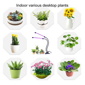 Lampe de croissance pour plantes à <span class=keywords><strong>spectre</strong></span> complet 30W LED, avec support pliable inversé en alliage d'aluminium, IP44, pour semis paysagers, avec fonction de minuterie - Product Image 5