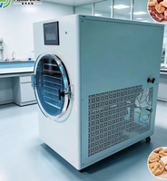 Draagbare huishoudelijke kleine vriesdroogmachine voor dagelijks zelfgemaakt fruitcrisp lyofilisatie kleine vriesdroogmachine