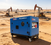 Générateurs diesel silencieux de 11 kW pour la maison, démarrage électrique, 12 kW max, moteur V-Twin bicylindre, groupe électrogène diesel AVR, réservoir de carburant de 25 L, 230 V